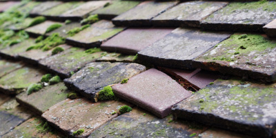Longcot roof repair costs